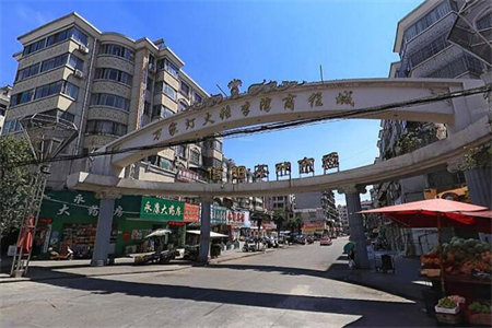 出售泰安岱下明珠2室1厅1卫60平精装修